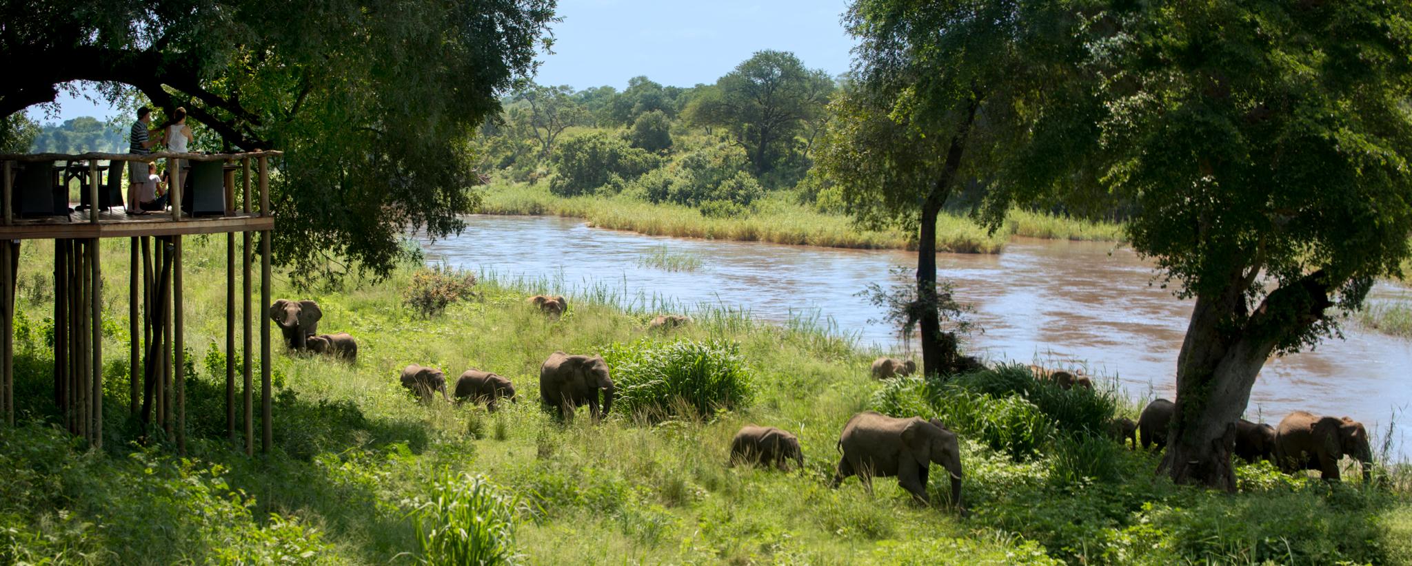Lion Sands Narina Lodge Sabi Sand Game Reserve Eksteriør billede