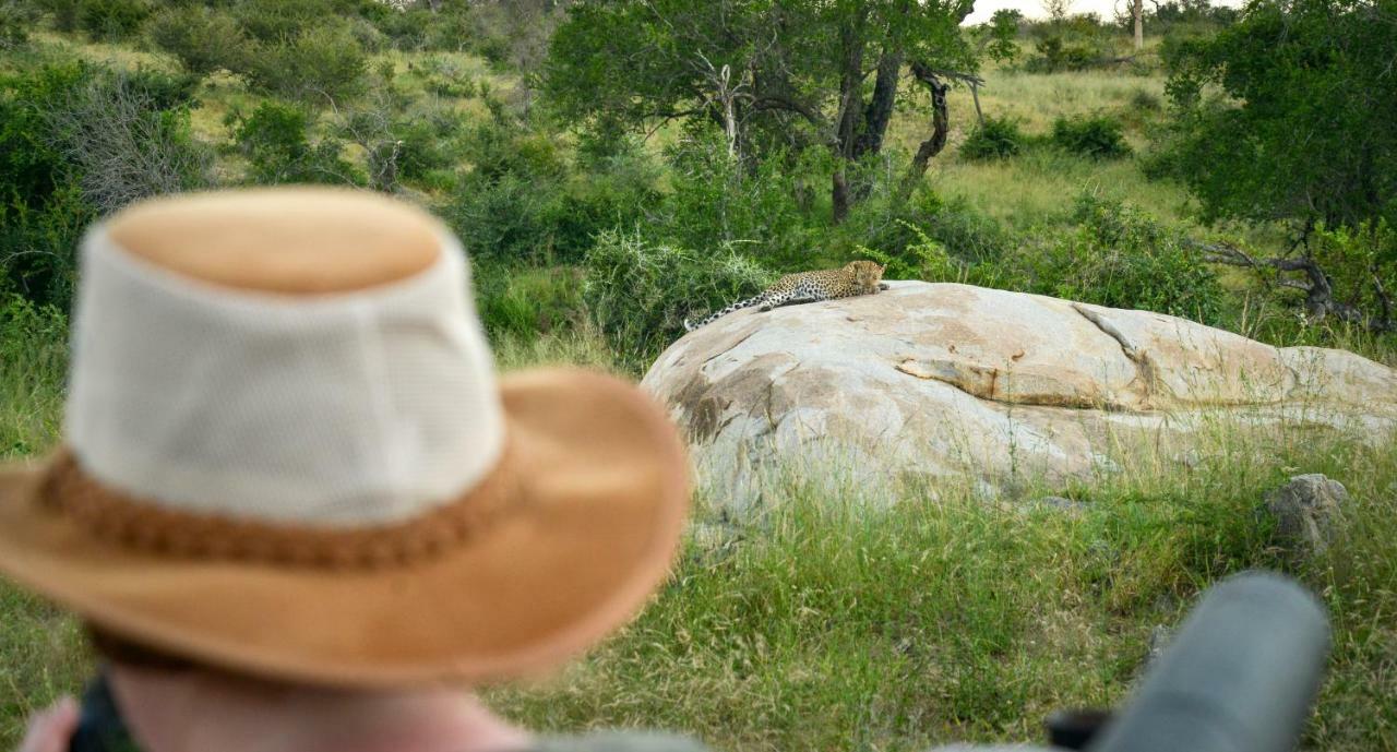 Lion Sands Narina Lodge Sabi Sand Game Reserve Eksteriør billede
