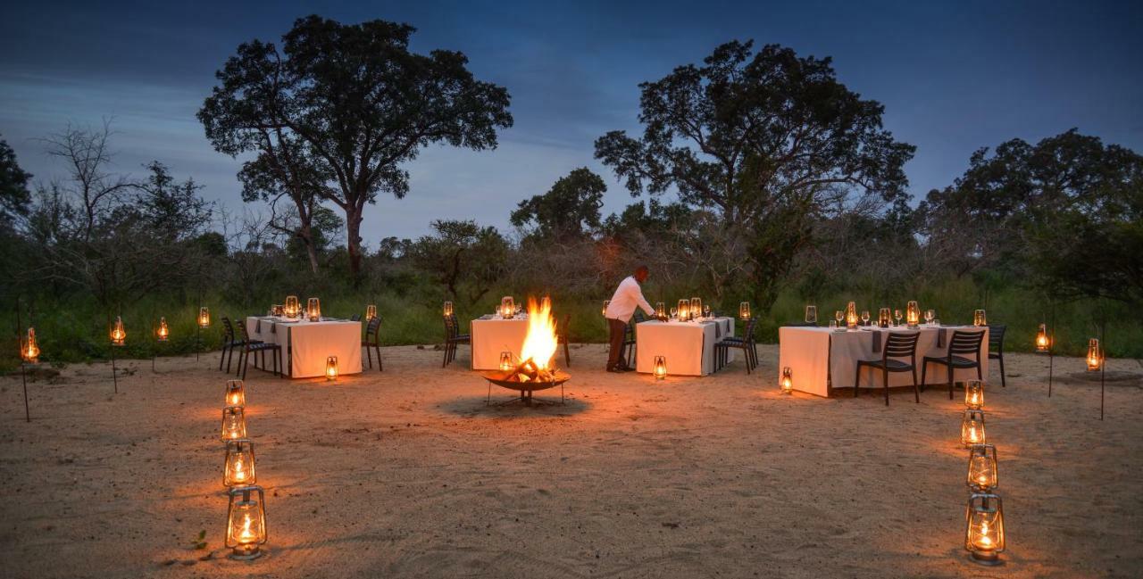 Lion Sands Narina Lodge Sabi Sand Game Reserve Eksteriør billede